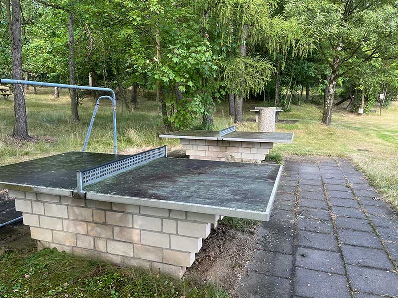 Zwei Tischtennisplatten für den Außenbereich aus Stein und Metall, ideal für Sport und Freizeit, in einem Park mit Rasenfläche und Bäumen im Hintergrund.