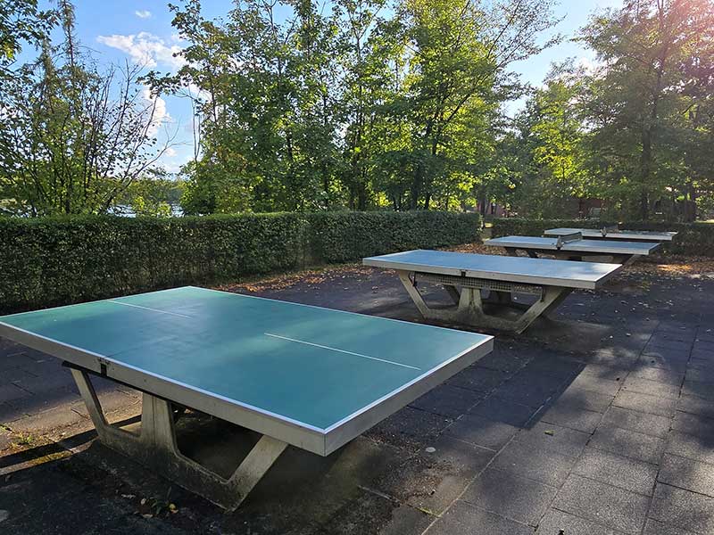 Vier Tischtennisplatten im Freien, die in Zieselsmaar in einer Reihe stehen, umgeben von Bäumen und viel Grün an einem sonnigen Tag – ideal für Freizeit und Entspannung.